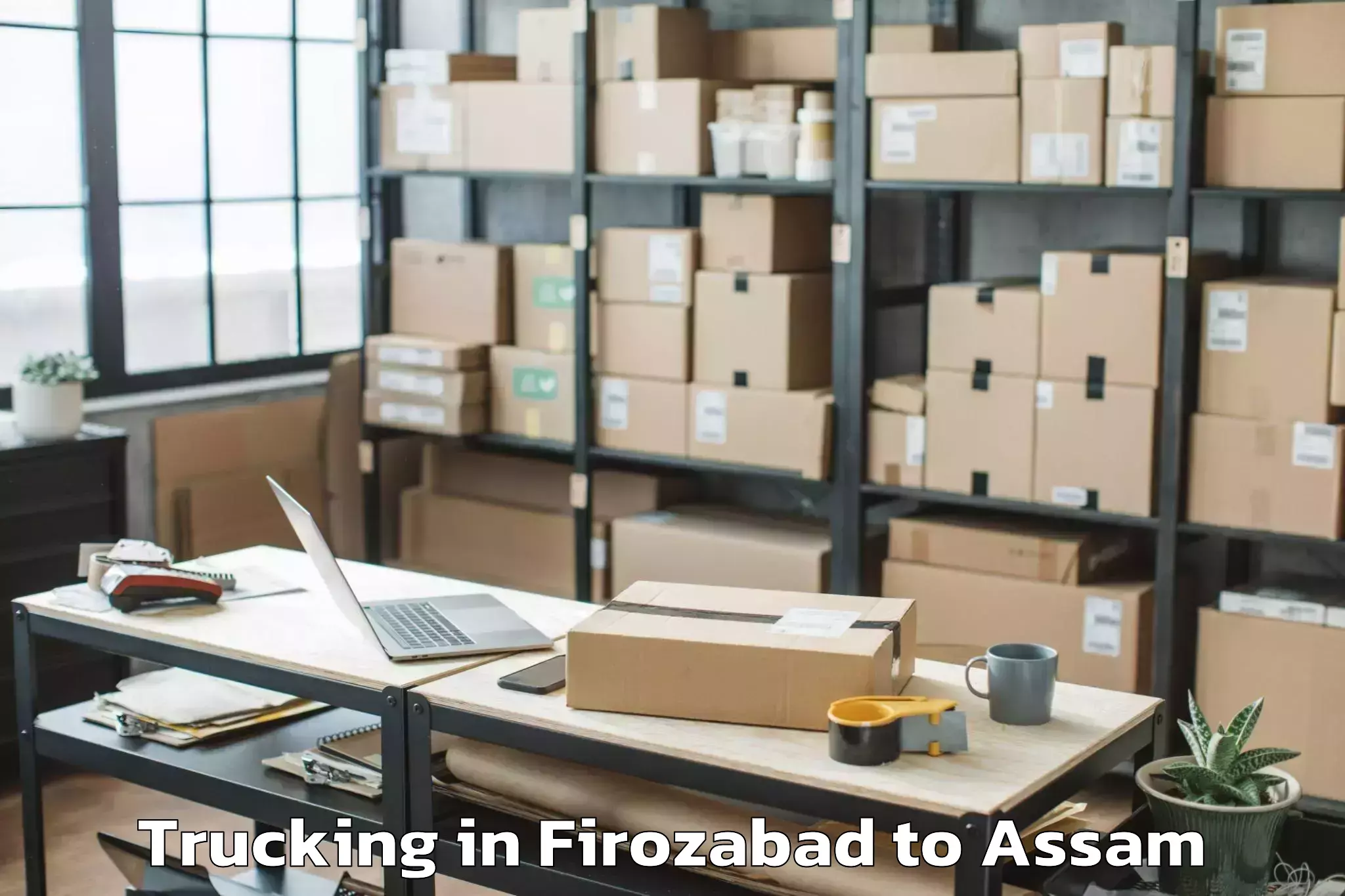 Hassle-Free Firozabad to Baganpara Pt Trucking